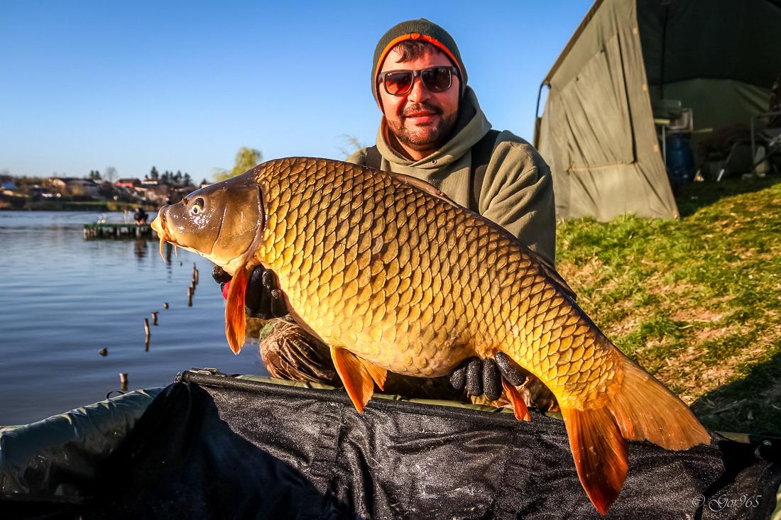 4820 kilograme de crap prinse in 63 de ore la Moara Vlasiei 2